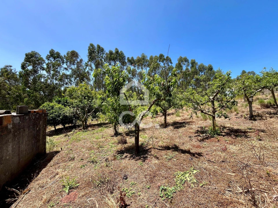 Terreno para Venda em Alvorninha Foto 16