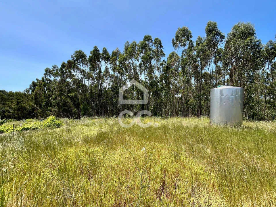 Terreno para Venda em Alvorninha Foto 4