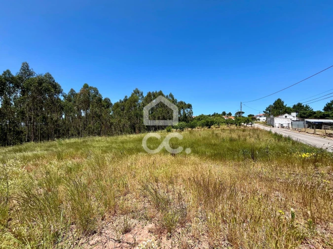 Terreno para Venda em Alvorninha Foto 1