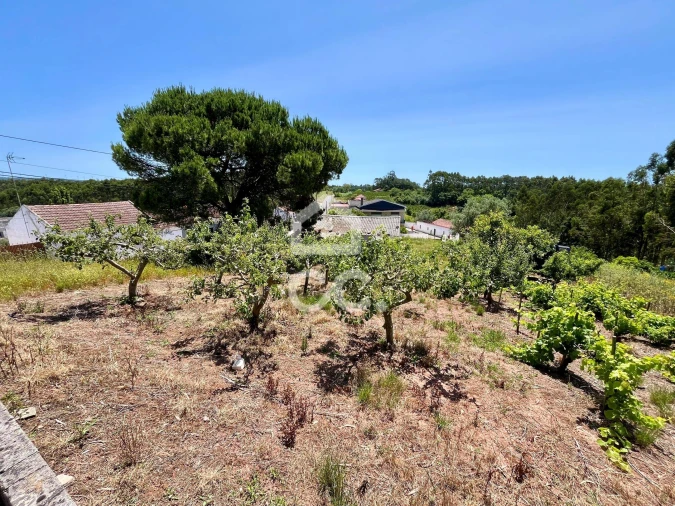Terreno para Venda em Alvorninha Foto 6