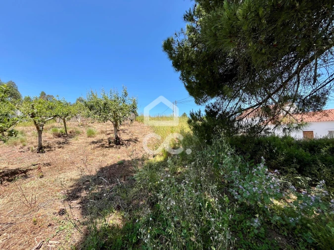 Terreno para Venda em Alvorninha Foto 15