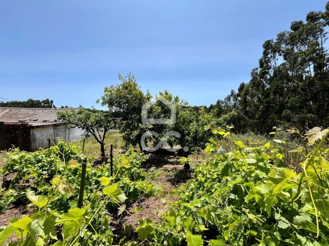 Terreno para Venda em Alvorninha Foto 10