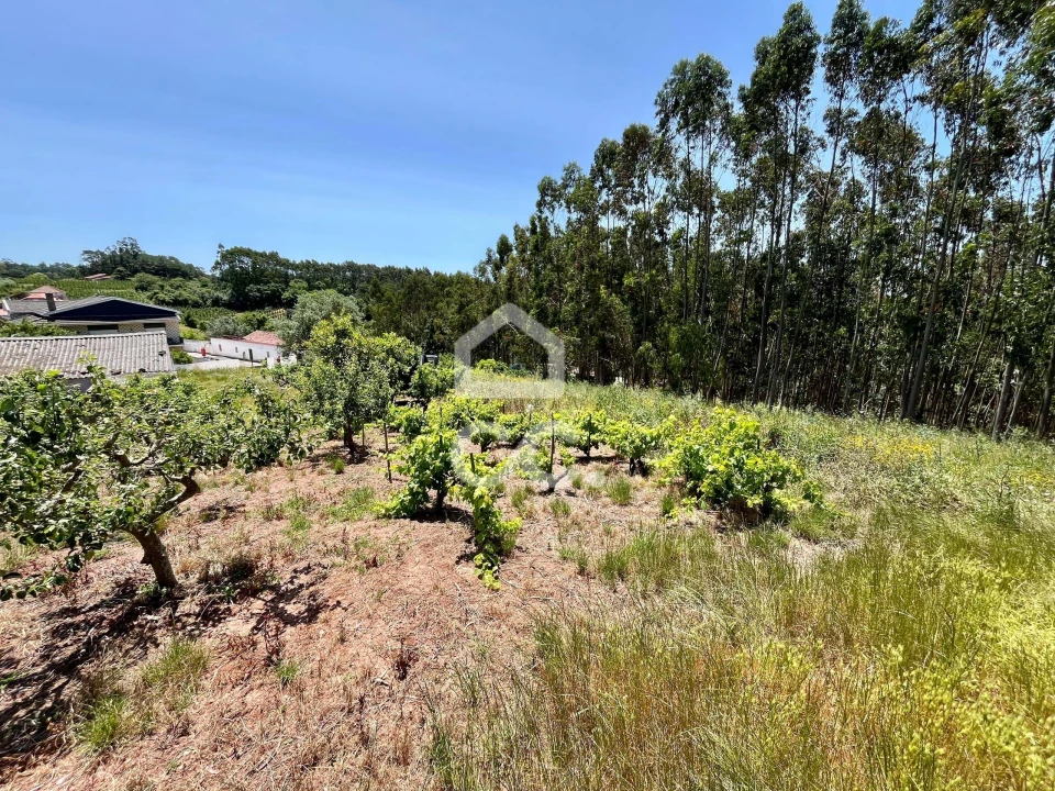 Terreno para Venda em Alvorninha Foto 5