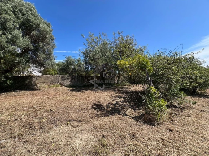 Moradia T3 para Venda em São Brás de Alportel Foto 13