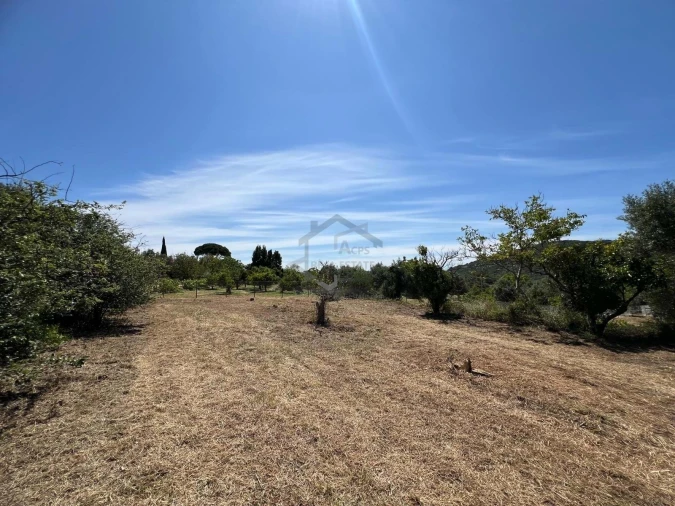 Moradia T3 para Venda em São Brás de Alportel Foto 12