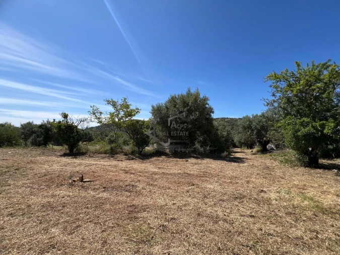 Moradia T3 para Venda em São Brás de Alportel Foto 14