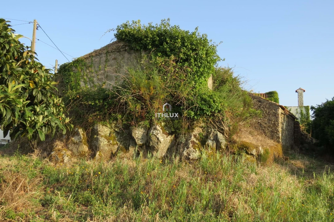 Terreno para Venda em Igreja Nova e Cheleiros Foto 5