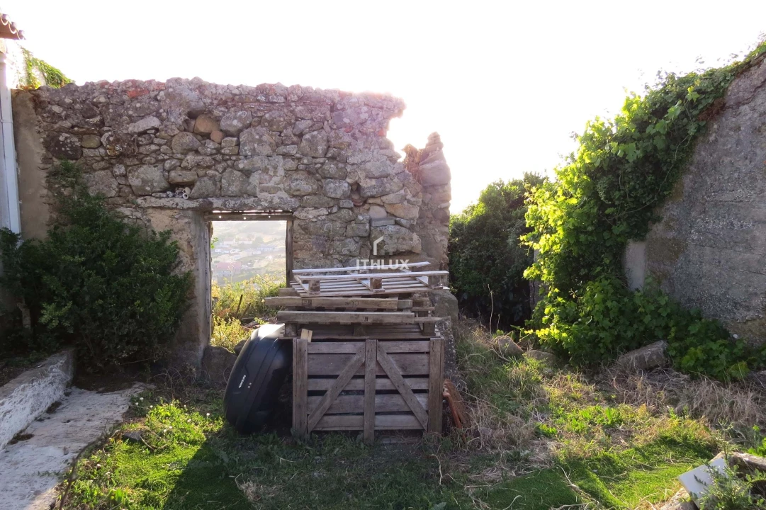 Terreno para Venda em Igreja Nova e Cheleiros Foto 2