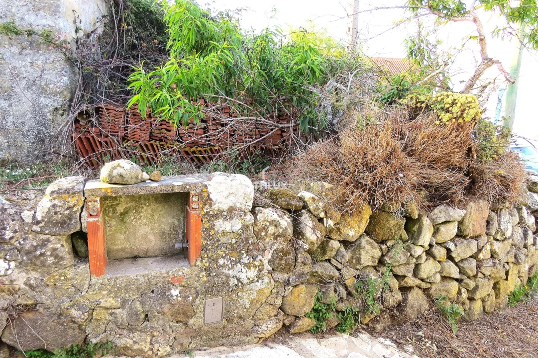 Terreno para Venda em Igreja Nova e Cheleiros Foto 14