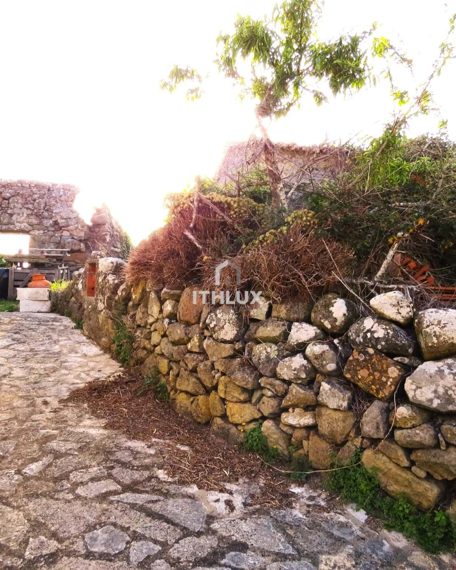Terreno para Venda em Igreja Nova e Cheleiros Foto 4