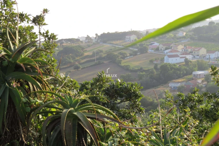 Terreno para Venda em Igreja Nova e Cheleiros Foto 11