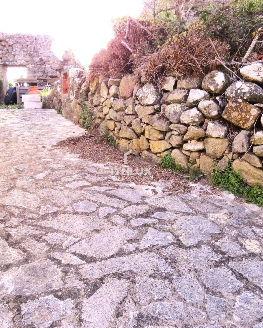 Terreno para Venda em Igreja Nova e Cheleiros Foto 15
