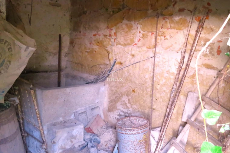 Terreno para Venda em Igreja Nova e Cheleiros Foto 7