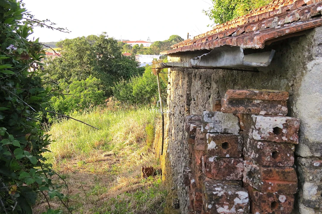 Terreno para Venda em Igreja Nova e Cheleiros Foto 3