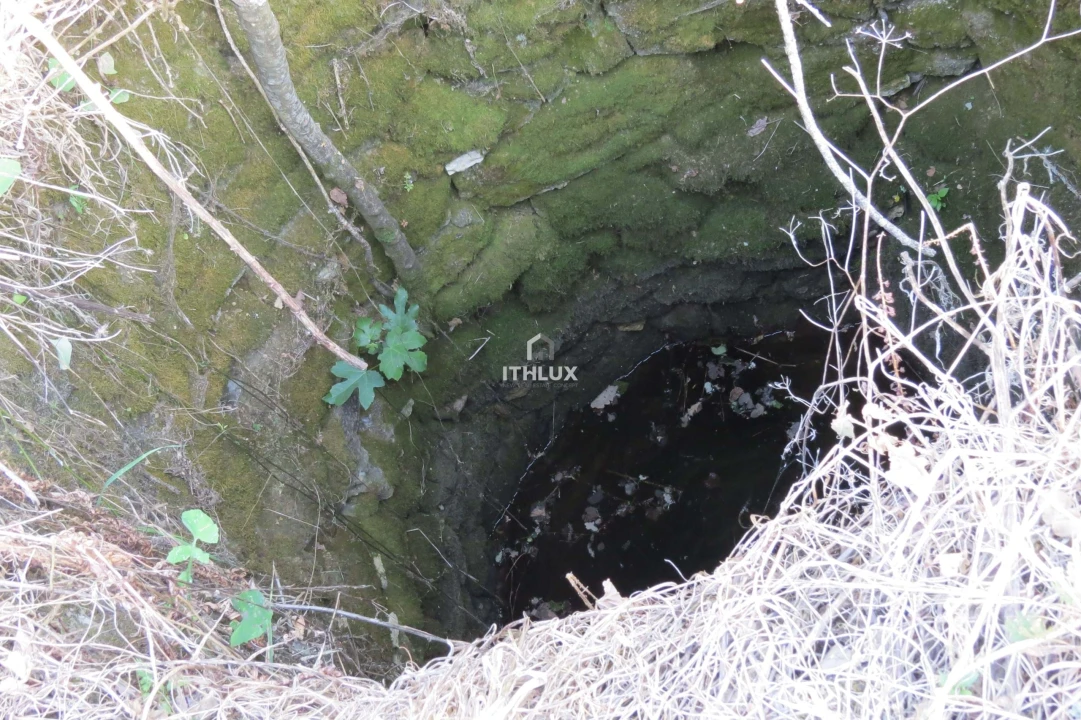 Terreno para Venda em Igreja Nova e Cheleiros Foto 10