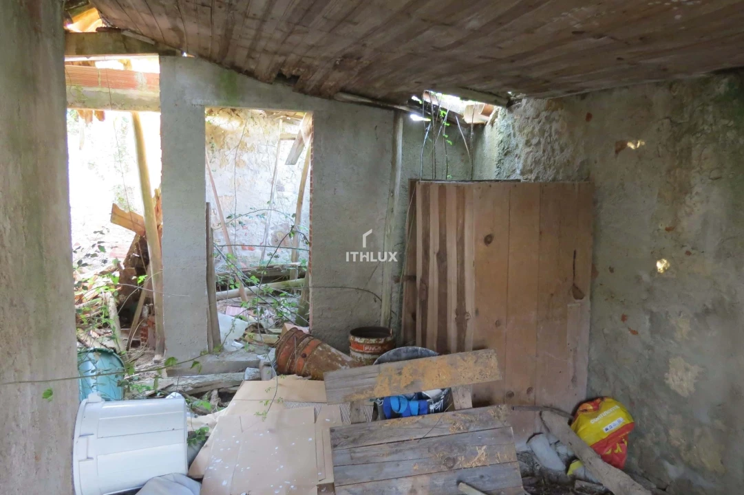 Terreno para Venda em Igreja Nova e Cheleiros Foto 12