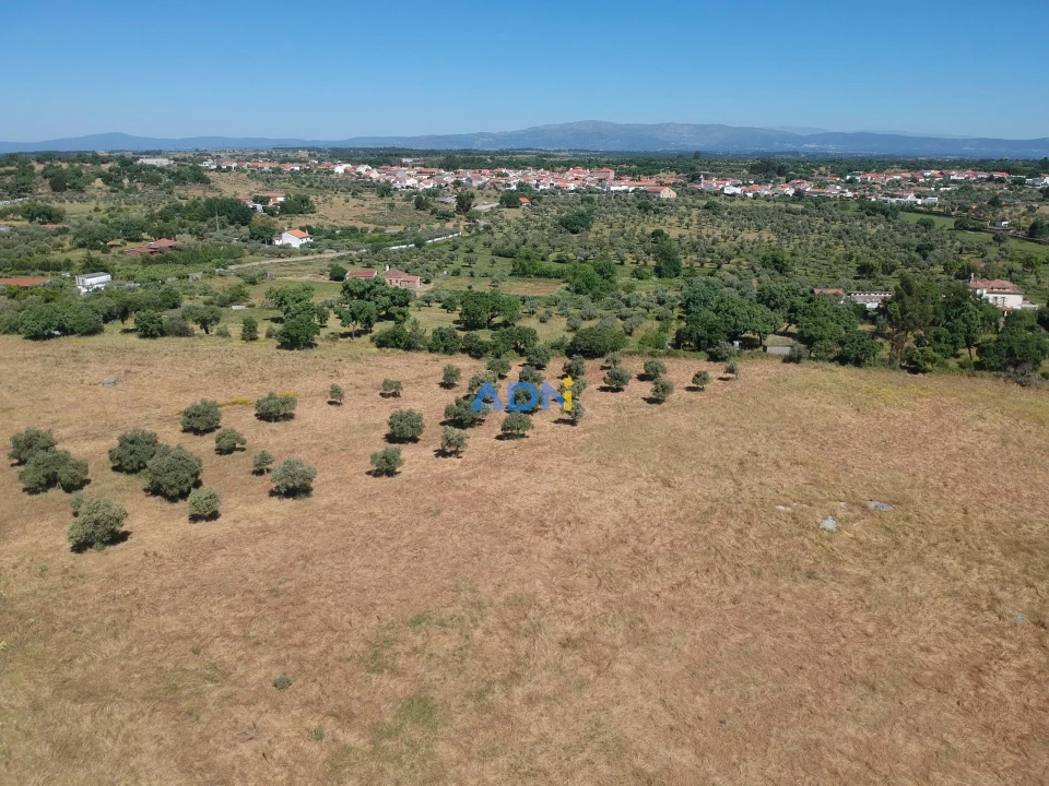 Terreno para Venda em Castelo Branco Foto 9