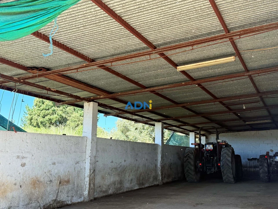 Terreno para Venda em Castelo Branco Foto 27