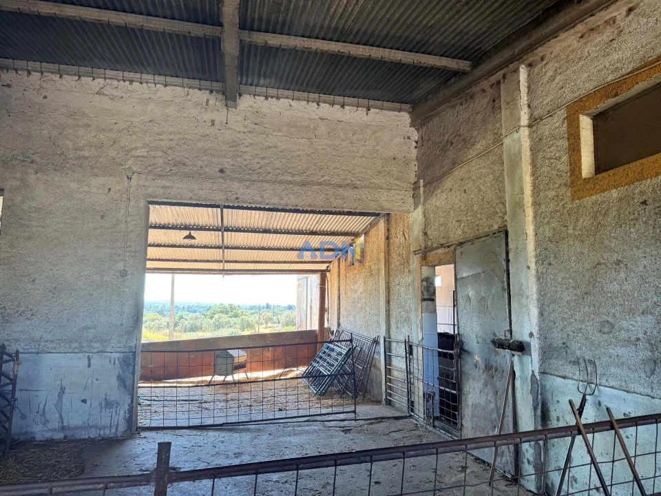 Terreno para Venda em Castelo Branco Foto 22