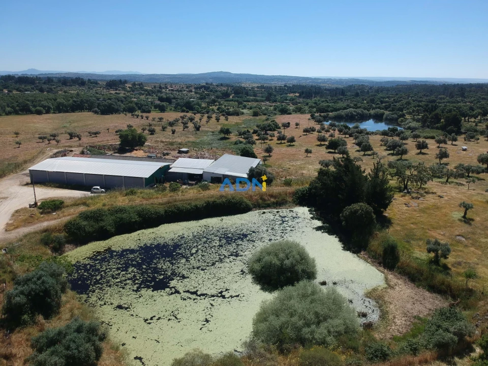 Terreno para Venda em Castelo Branco Foto 4