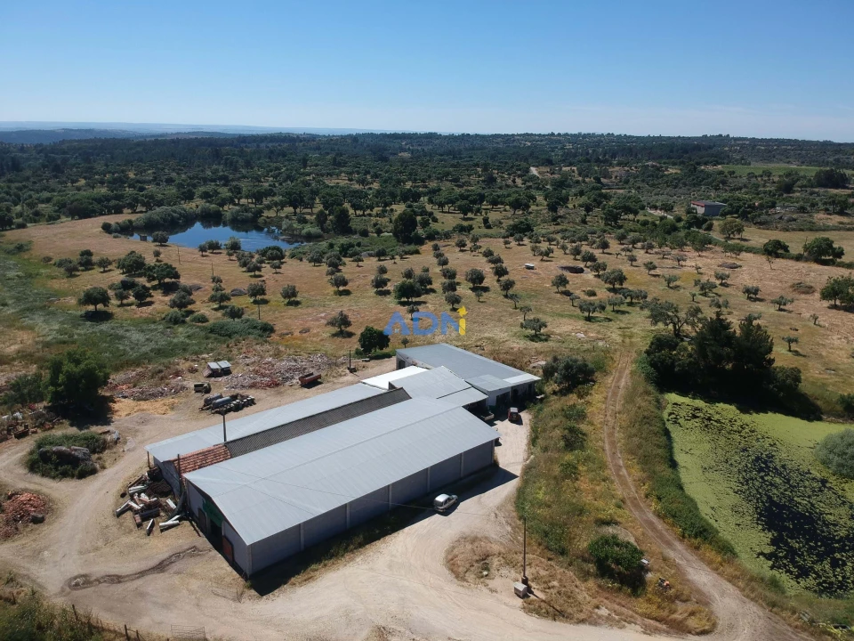 Terreno para Venda em Castelo Branco Foto 1