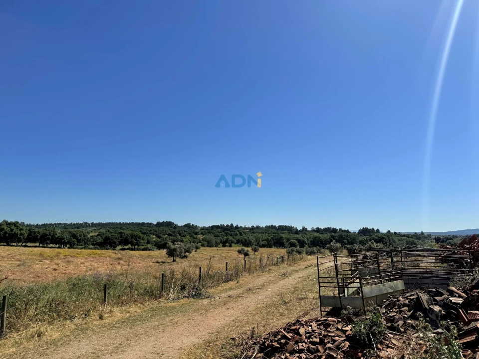 Terreno para Venda em Castelo Branco Foto 38