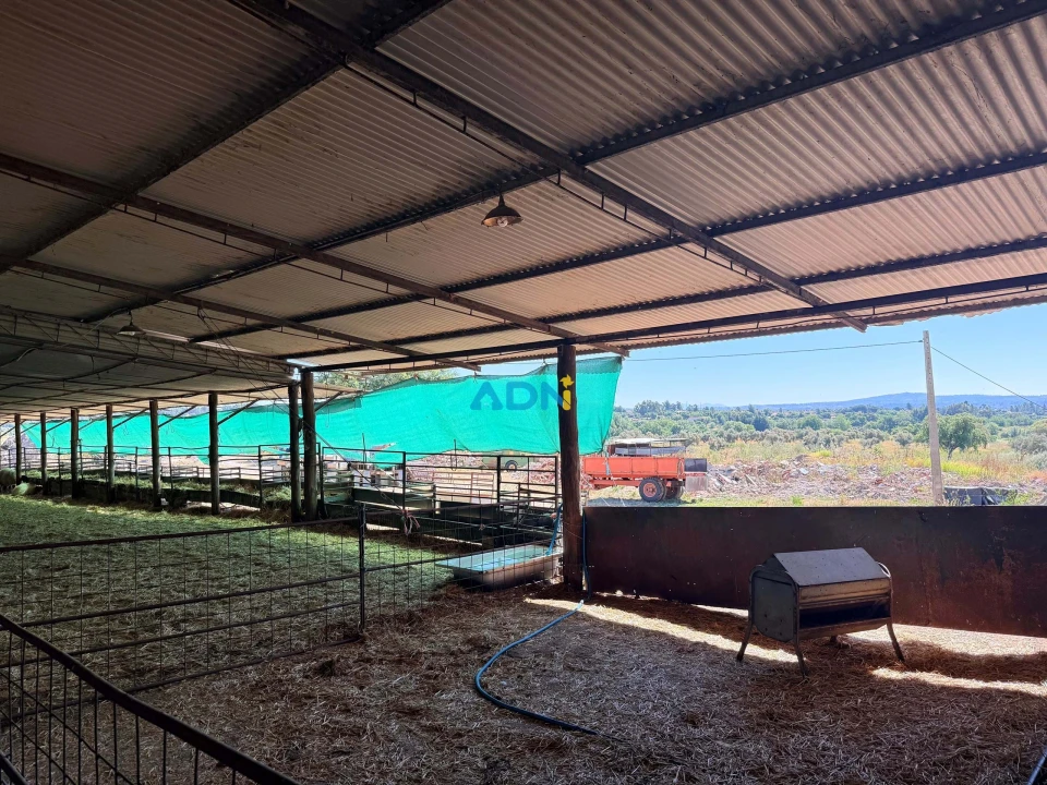 Terreno para Venda em Castelo Branco Foto 25