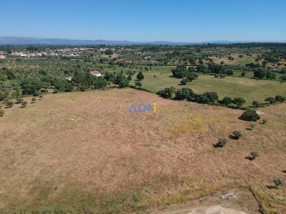 Terreno para Venda em Castelo Branco Foto 8