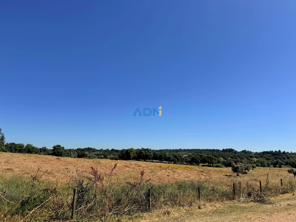Terreno para Venda em Castelo Branco Foto 39