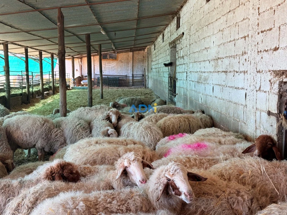 Terreno para Venda em Castelo Branco Foto 35