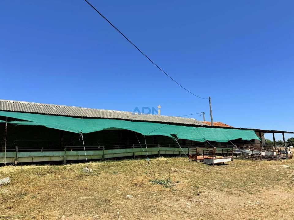 Terreno para Venda em Castelo Branco Foto 31