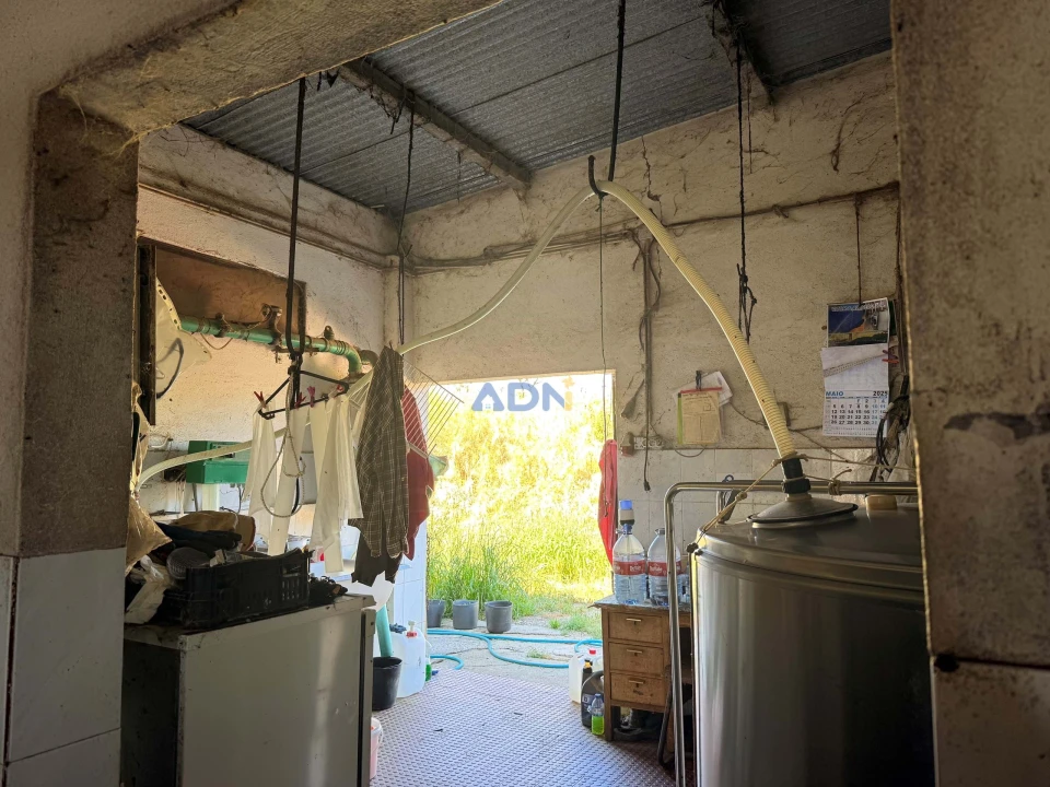 Terreno para Venda em Castelo Branco Foto 23