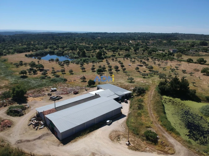 Terreno para Venda em Castelo Branco