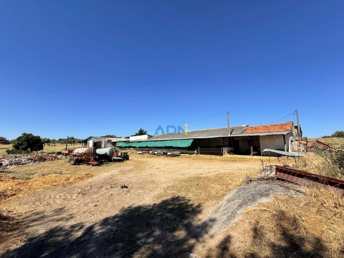 Terreno para Venda em Castelo Branco Foto 16