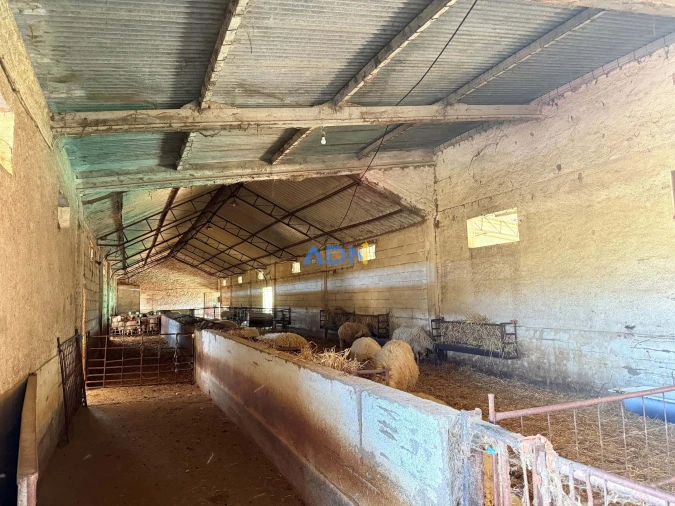 Terreno para Venda em Castelo Branco Foto 21