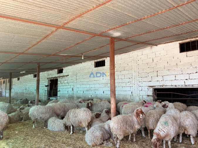 Terreno para Venda em Castelo Branco Foto 32