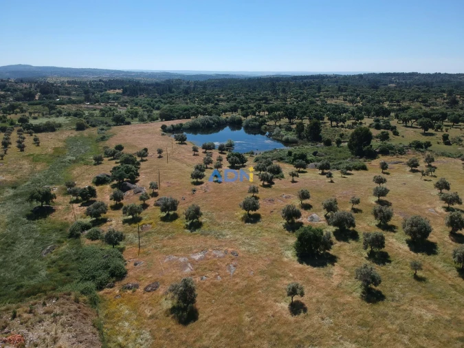 Terreno para Venda em Castelo Branco Foto 5