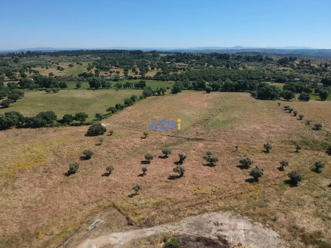 Terreno para Venda em Castelo Branco Foto 6