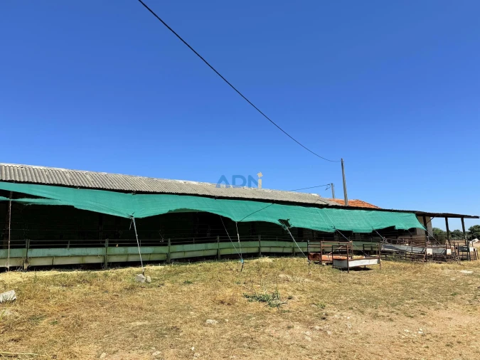 Terreno para Venda em Castelo Branco Foto 31