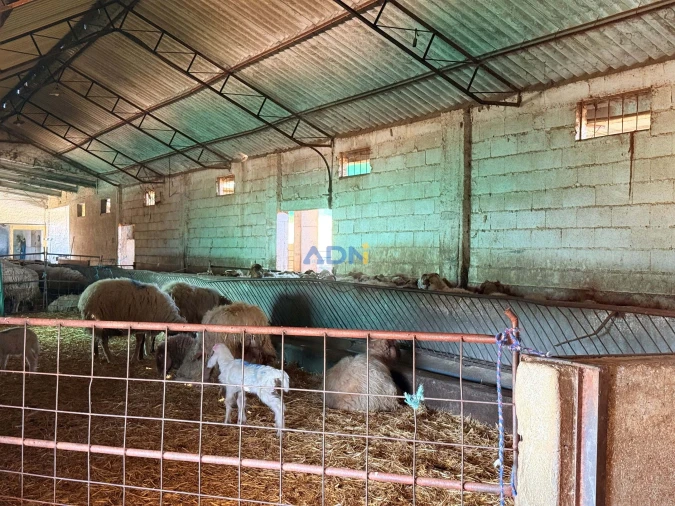 Terreno para Venda em Castelo Branco Foto 34
