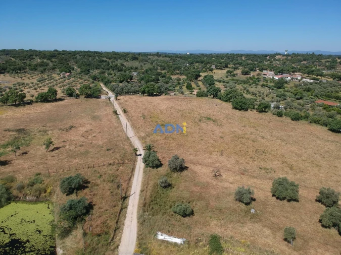 Terreno para Venda em Castelo Branco Foto 11