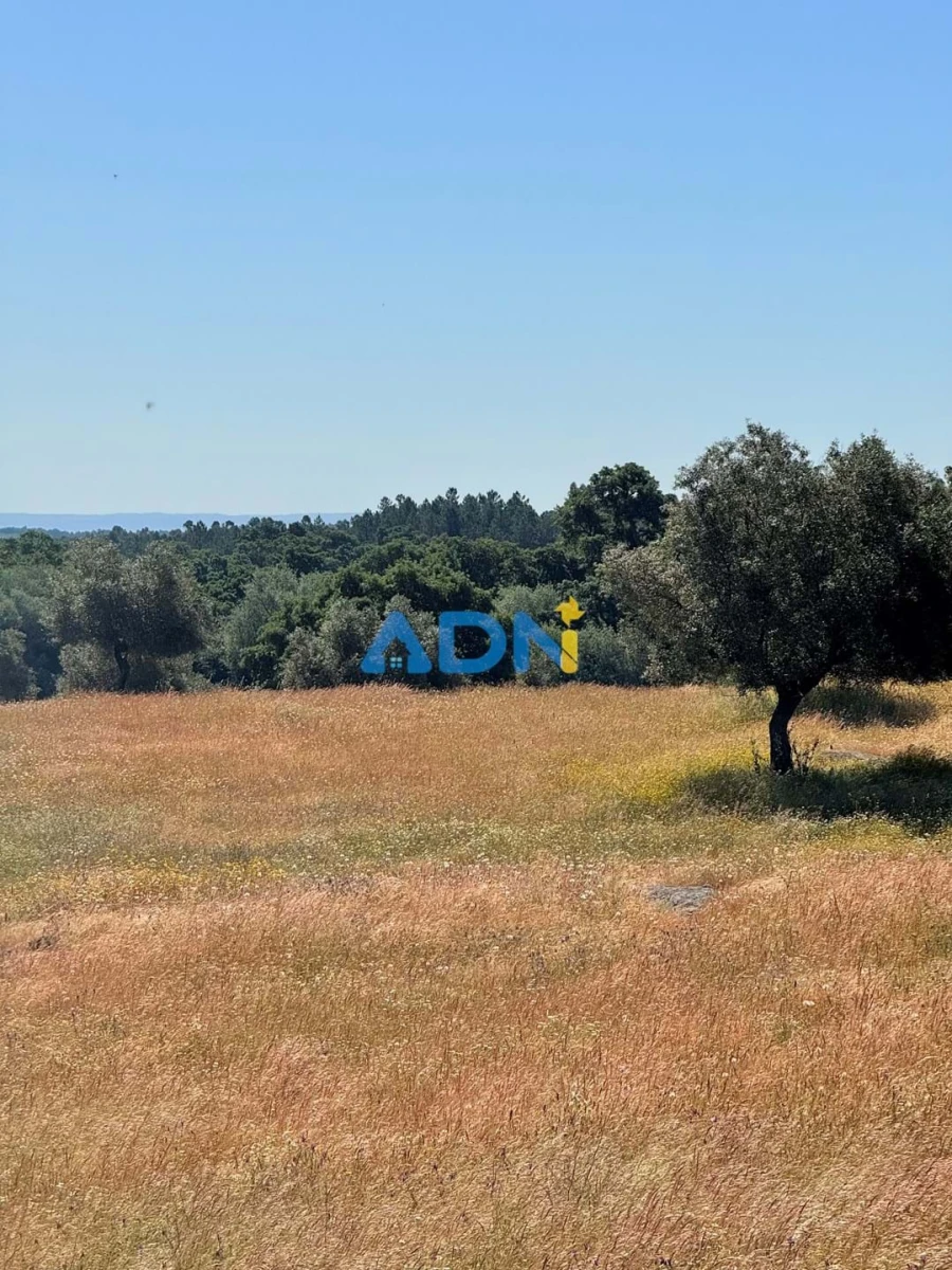 Terreno para Venda em Castelo Branco Foto 29