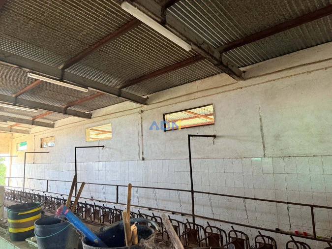 Terreno para Venda em Castelo Branco Foto 24