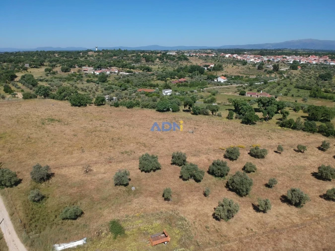 Terreno para Venda em Castelo Branco Foto 10
