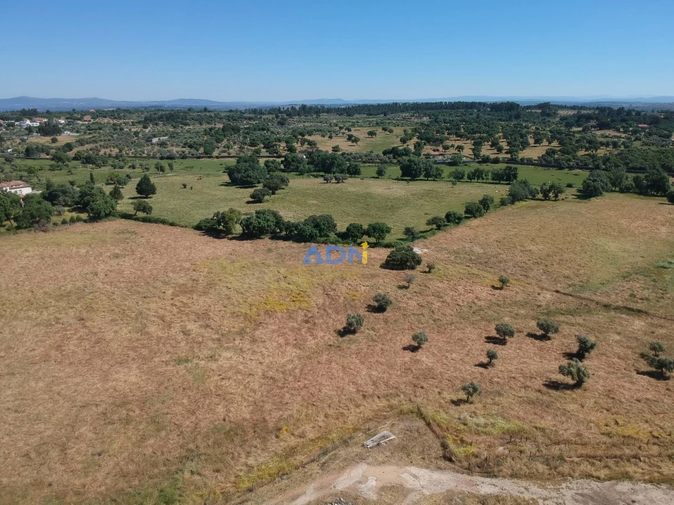 Terreno para Venda em Castelo Branco Foto 7