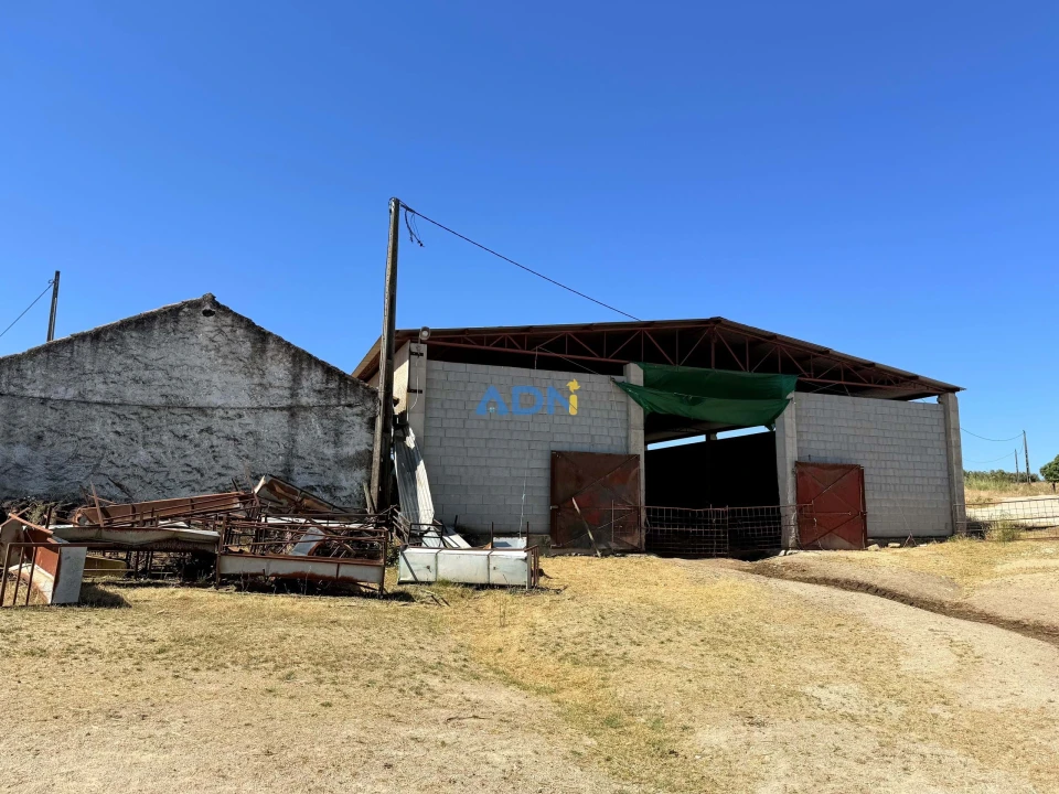 Terreno para Venda em Castelo Branco Foto 37