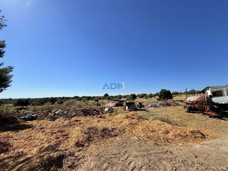 Terreno para Venda em Castelo Branco Foto 17