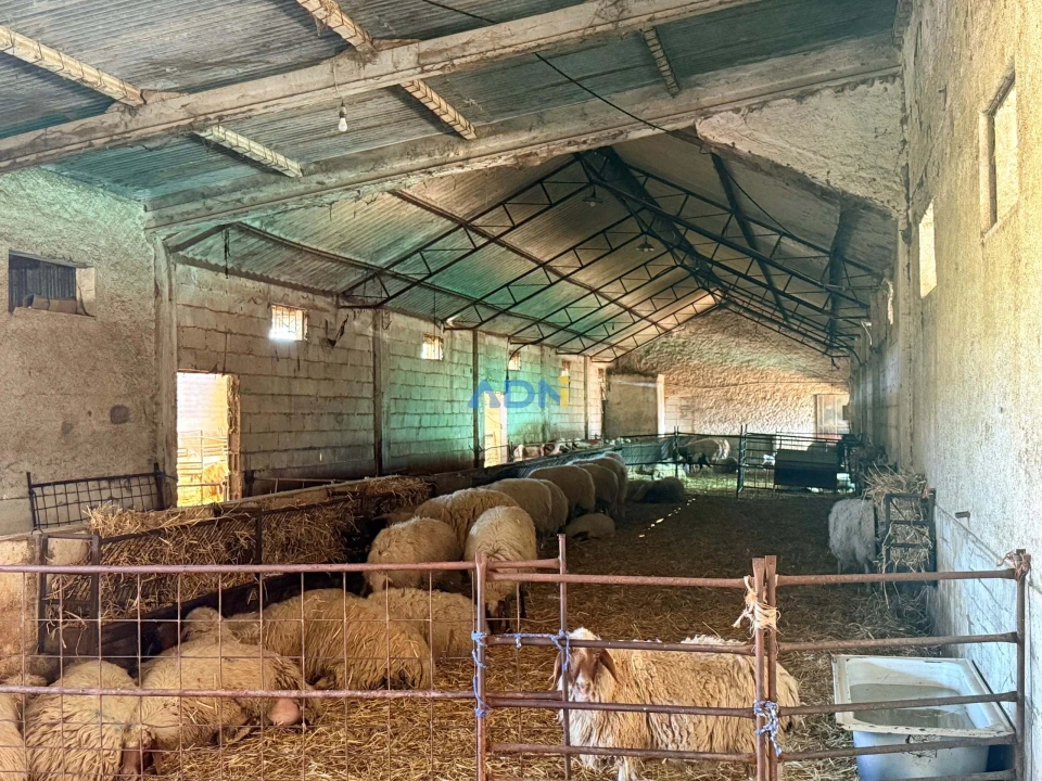 Terreno para Venda em Castelo Branco Foto 26