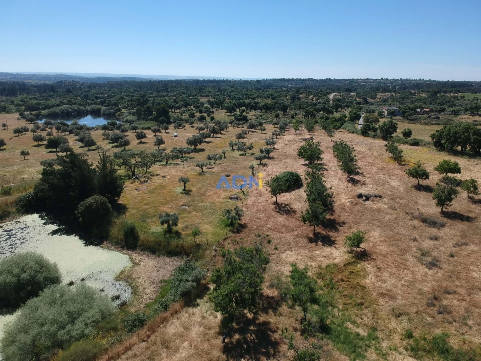 Terreno para Venda em Castelo Branco Foto 2