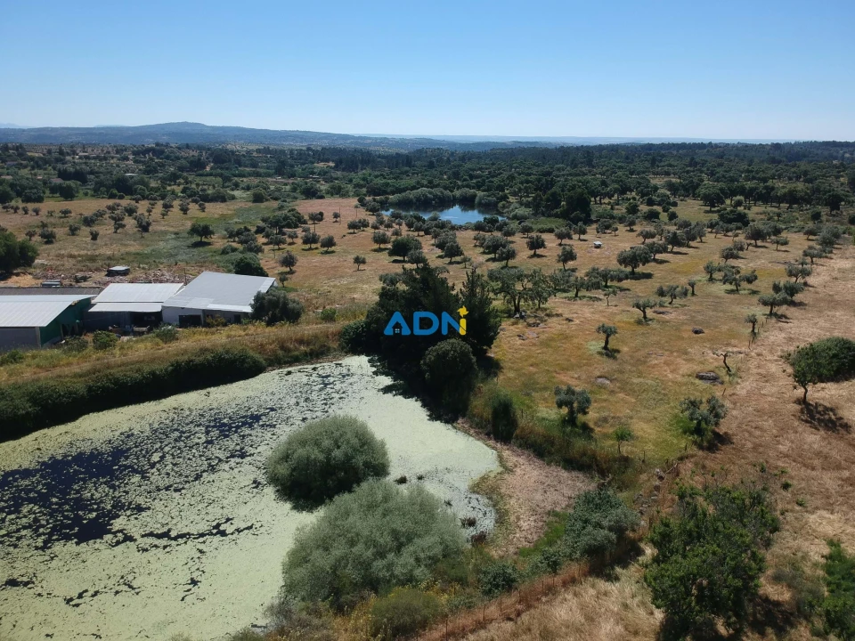 Terreno para Venda em Castelo Branco Foto 3